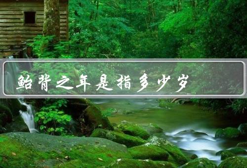 鲐背之年是指多少岁