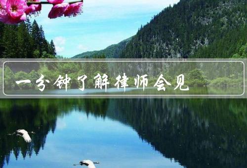 一分钟了解律师会见