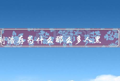 刘浩存为什么那么多人黑
