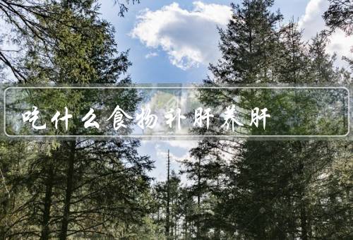 吃什么食物补肝养肝