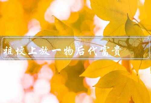 祖坟上放一物后代富贵