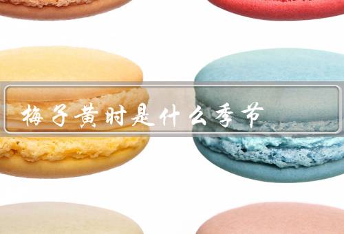 梅子黄时是什么季节