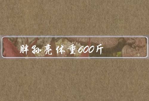 胖孙亮体重600斤