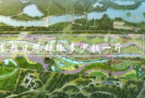查拉皮塔辣椒多少钱一斤，12万币（产量不高／香气独特）