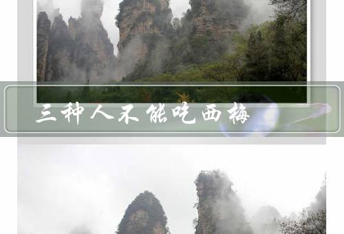 三种人不能吃西梅