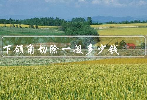 下颌角切除一般多少钱