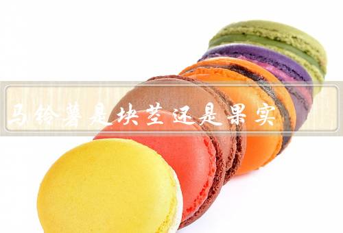 马铃薯是块茎还是果实