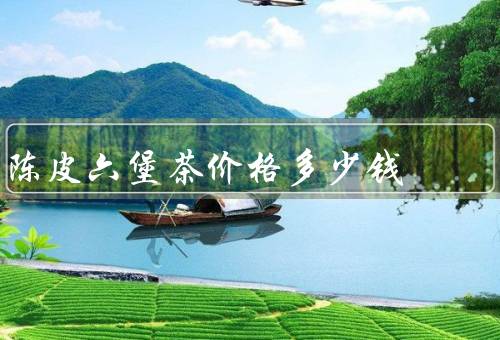 陈皮六堡茶价格多少钱