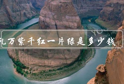 彩礼万紫千红一片绿是多少钱