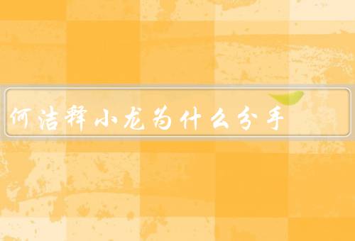 何洁释小龙为什么分手