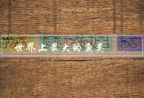 世界上最大的鱼类