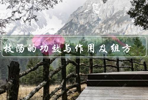 桂枝汤的功效与作用及组方