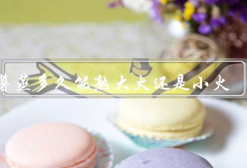 红薯蒸多久能熟大火还是小火