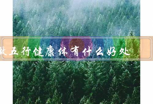 做五行健康体有什么好处