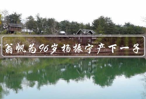 42岁翁帆为96岁杨振宁产下一子
