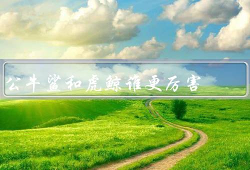 公牛鲨和虎鲸谁更厉害