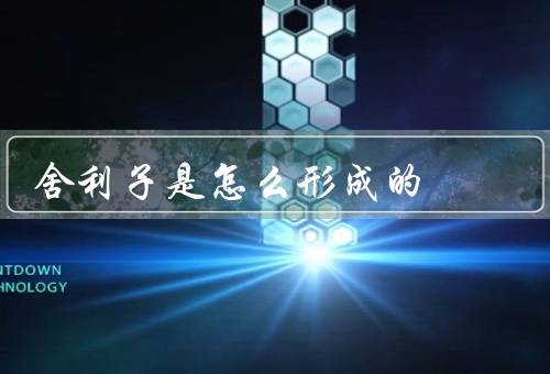舍利子是怎么形成的