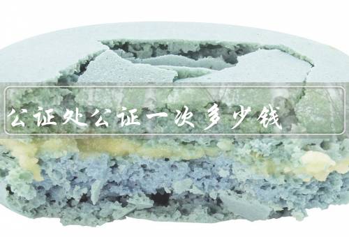 公证处公证一次多少钱，20万元以下的按1.2%收取
