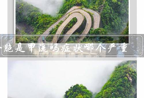 合胞是甲流吗症状哪个严重