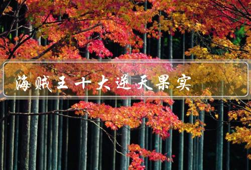 海贼王十大逆天果实