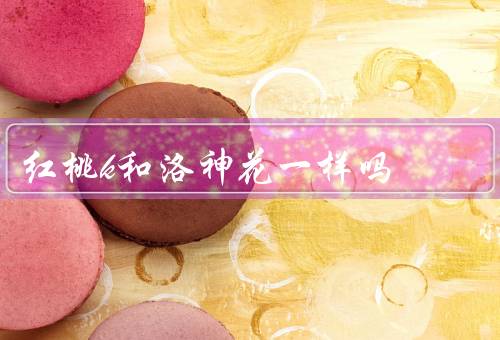 红桃k和洛神花一样吗