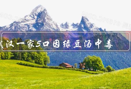 武汉一家5口因绿豆汤中毒
