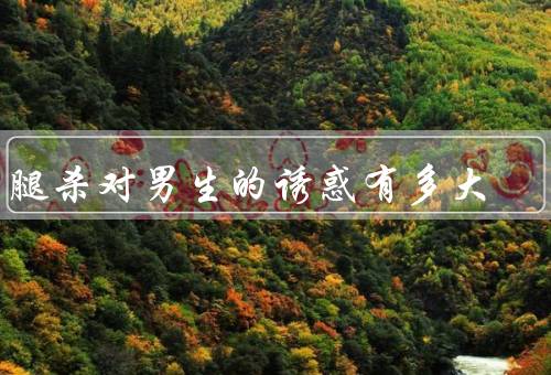 坐腿杀对男生的诱惑有多大