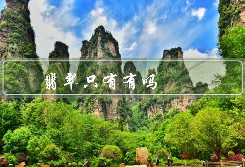 翡翠只有有吗