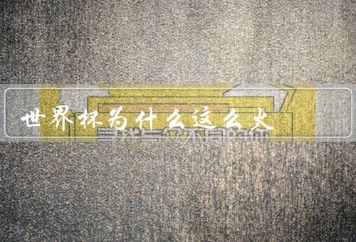 世界杯为什么这么火