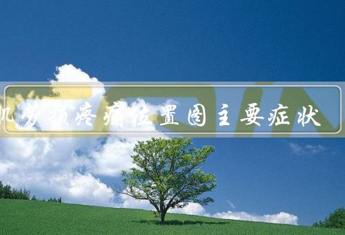 腰肌劳损疼痛位置图主要症状