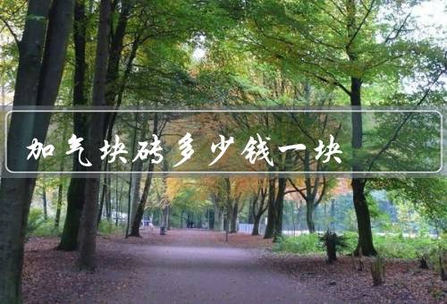加气块砖多少钱一块