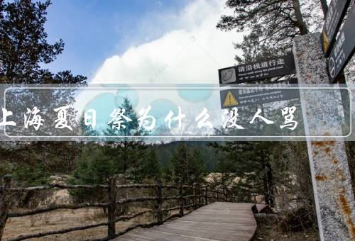 上海夏日祭为什么没人骂