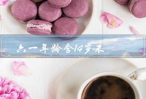 六一年龄含14岁不