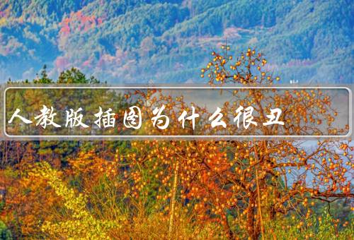 人教版插图为什么很丑