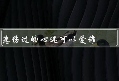 悲伤过的心还可以爱谁