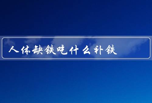 人体缺铁吃什么补铁