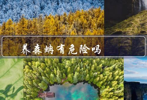 养森蚺有危险吗