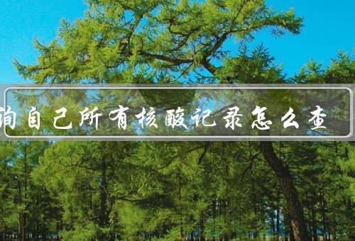 查询自己所有核酸记录怎么查
