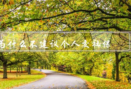 为什么不建议个人交社保