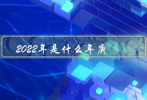 2022年是什么年庚