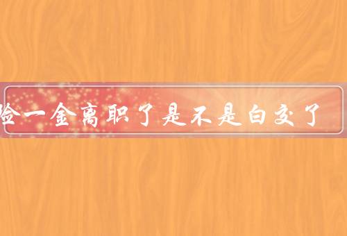 五险一金离职了是不是白交了