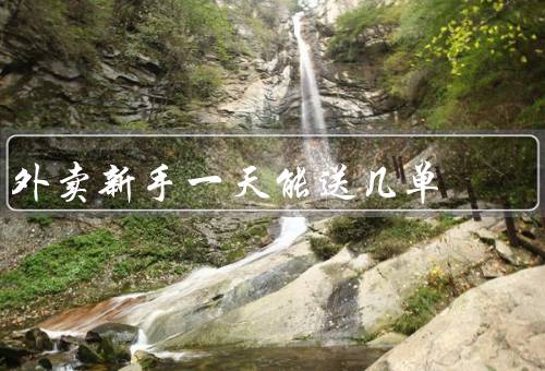 外卖新手一天能送几单
