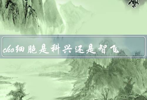 cho细胞是科兴还是智飞