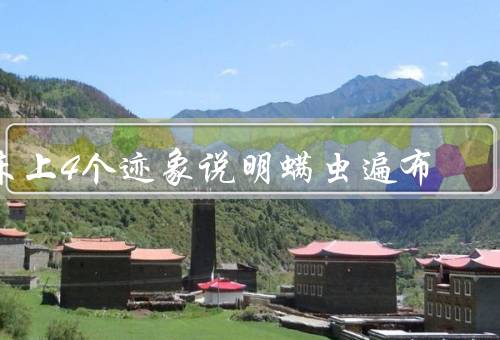 床上4个迹象说明螨虫遍布