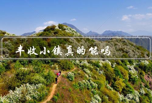 丰收小镇真的能吗