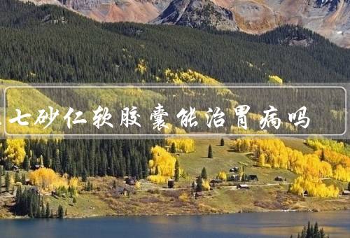 三七砂仁软胶囊能治胃病吗
