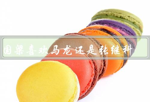 刘国梁喜欢马龙还是张继科