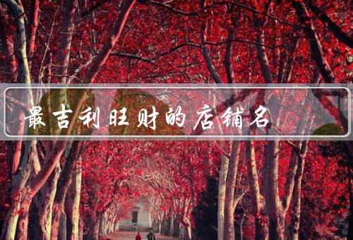 最吉利旺财的店铺名