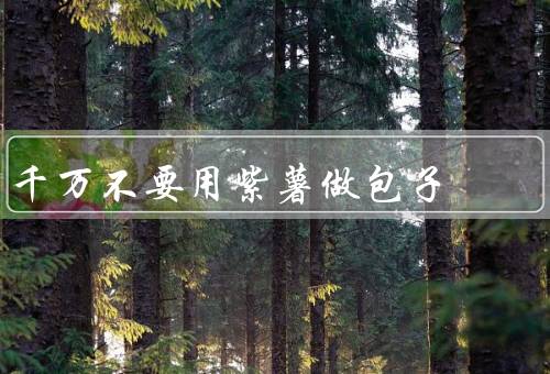 千万不要用紫薯做包子
