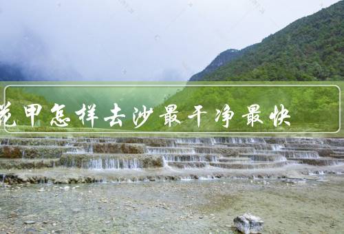 花甲怎样去沙最干净最快